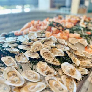 oysters and mussels, food