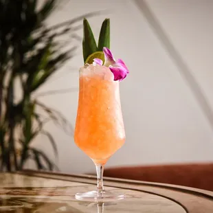 sushi and sashimi, drink