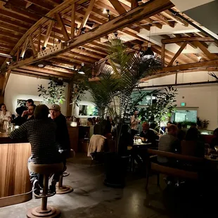 Spacious and Beautiful Ambiance