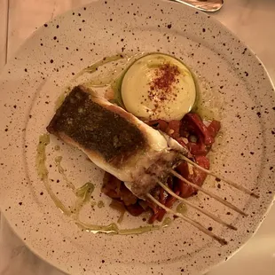Halibut