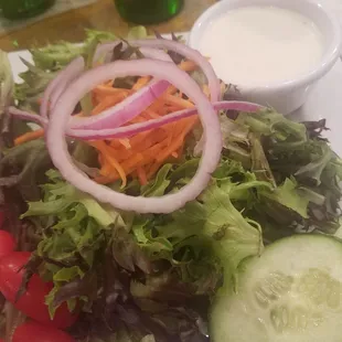 Side garden salad with burger