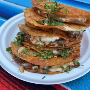 Quesabirrias! Handmade tortillas melted cheese birria meat yummm!