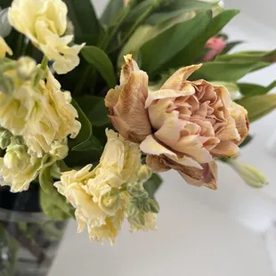 Old and dying flowers