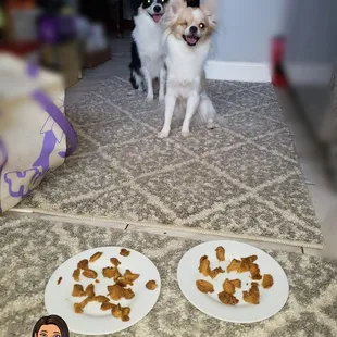 Broke up the pupper dough snack and they loved it!