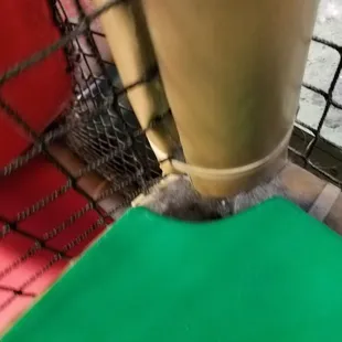 This was inside the structure accessible to kids.