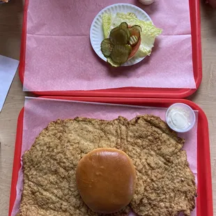 Their current champion !