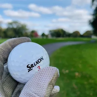 Last hole, beautiful course