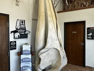 National Cowboy & Western Heritage Museum