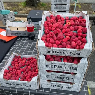 boxes of raspberries