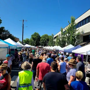 a large crowd of people walking down the street