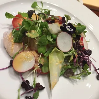 Yellowtail