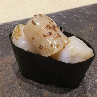 Scallop