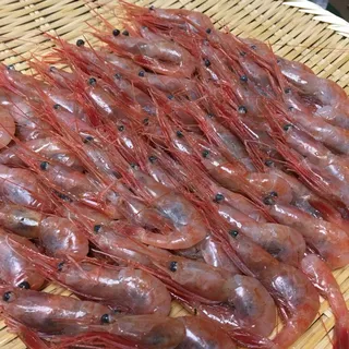 Shrimp