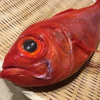 Kinmedai or Golden Eye Snapper