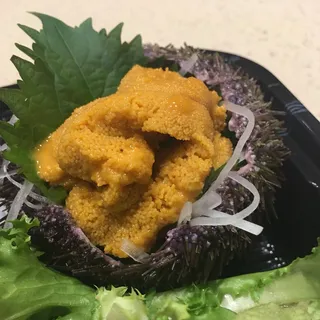 Live Uni
