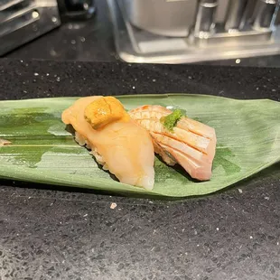 Sea Urchin