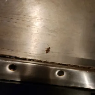Roach and grill. Not on the menu.