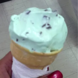 Mint &amp; Chip ice cream! My fave!