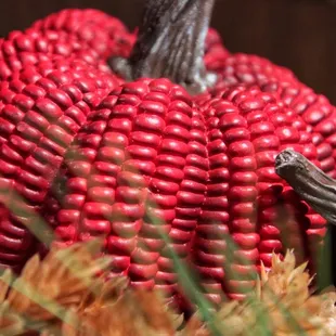 a close up of a bunch of red corn