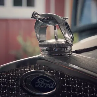 the hood ornament of a ford