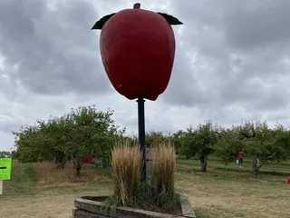 Apple Barn Orchard & Winery