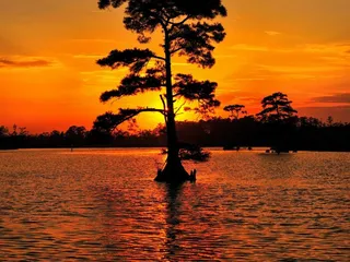 Moore to See Photo Expeditions