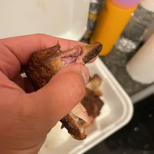 a hand holding a piece of meat