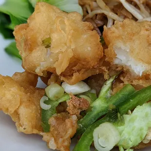Fried fish with hilariously oversized jalapeno