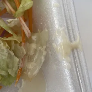 Hair in my salad