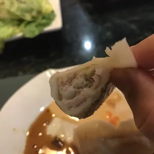 Pot Stickers