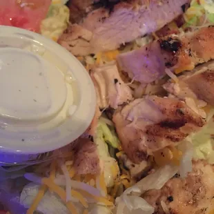 Grilled Chicken Salad