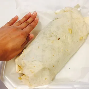 Huge burrito