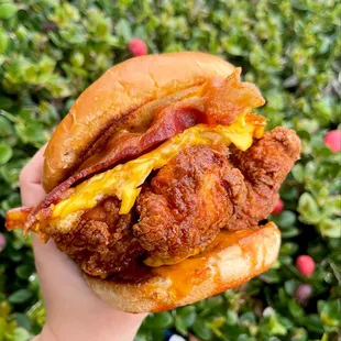 Signature Egg N Bird Sandwich! Choice of Grilled or Fried Chicken, Egg, Bacon, Cheese, Spicy Honey and Crack Sauce on a Toasted Brioche Bun
