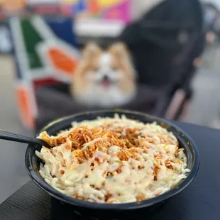 Spicy Volcano Biryani: Boiled Egg Rice w/ omelet base, cheese, center gravy, sub butter | $18.97 (center gravy is missing)