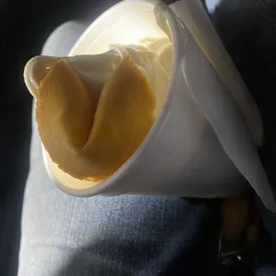 Vanilla vine with a fortune cookie (its like a cone)