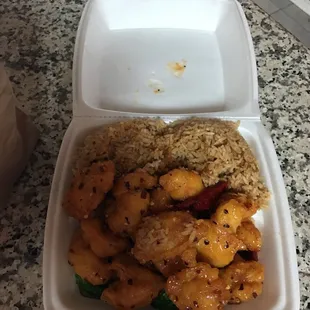 Small portion of Orange Chicken