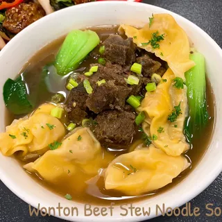 Spicy Beef Stew Wonton Noodle Soup