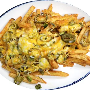 a plate of cheesy fries
