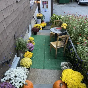 a patio with pumpkins and flowers