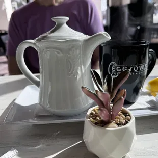 Green Tea, Herbal Tea and others are served in style, making a very nice presentation.