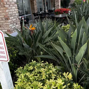 Landscaped Garden Patios