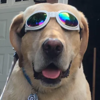 J B.