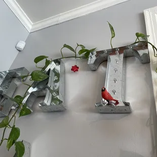 a red bird perched on the letter t