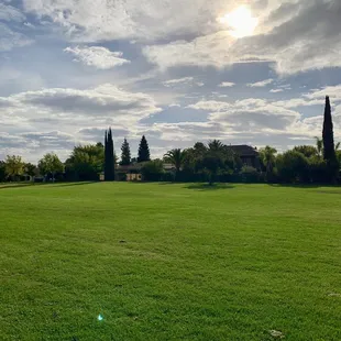 Partial Solar Eclipse - 10/14/2023