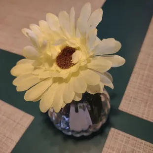 cupcakes, interior