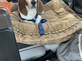 Parkview Animal Hospital