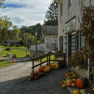 a variety of pumpkins