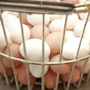 Our Fresh Eggs