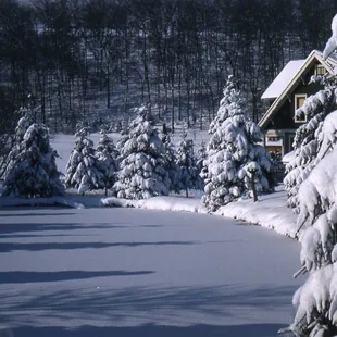 Winter wonderland on our pond