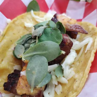 Octopus Taco